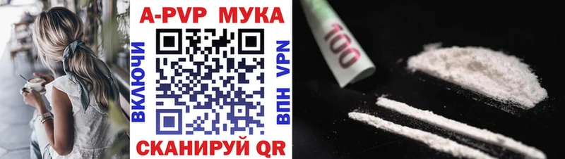 цена   Суворов  A PVP крисы CK 